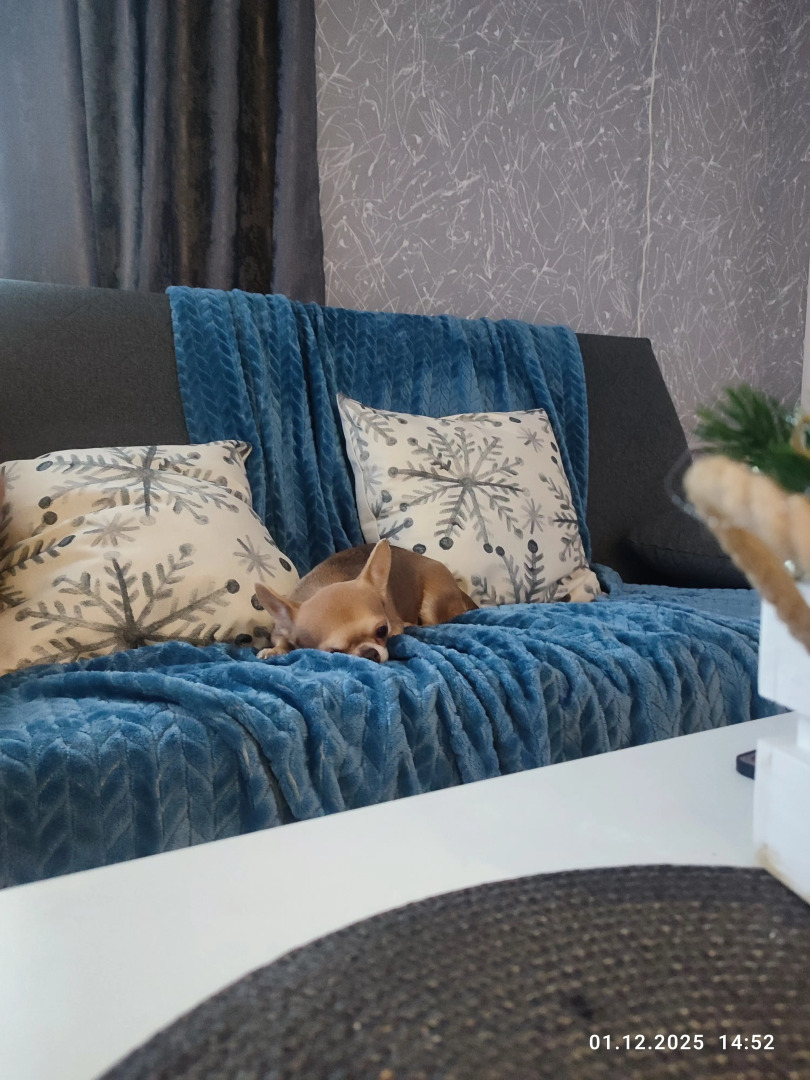 Квартира Уютная в центре города