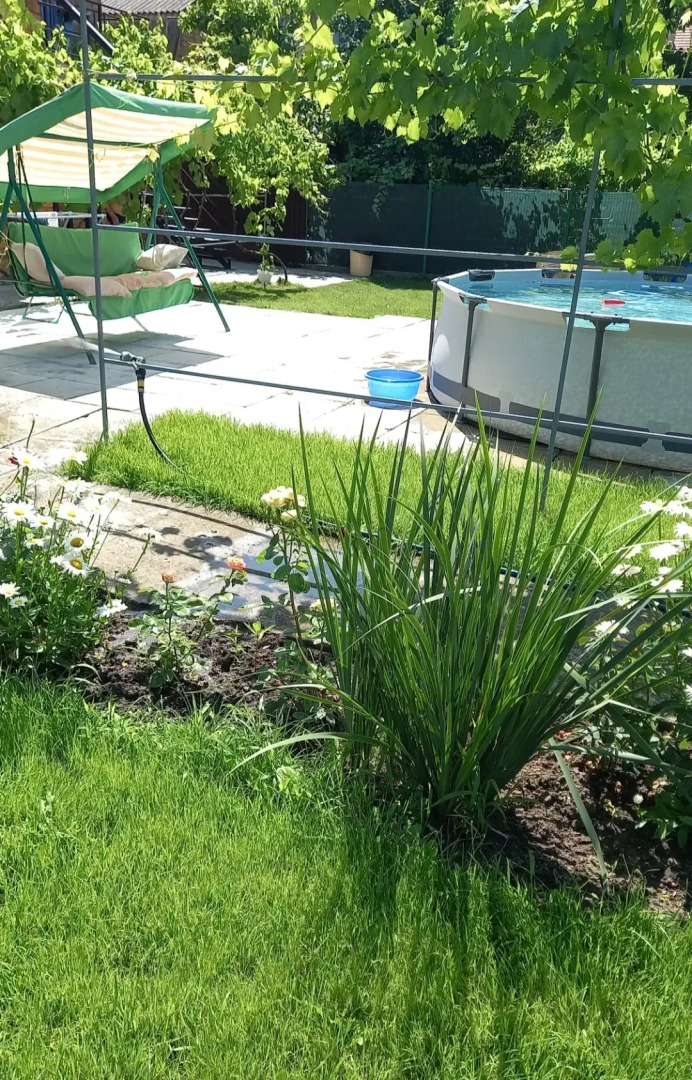 Апартаменты Семейные