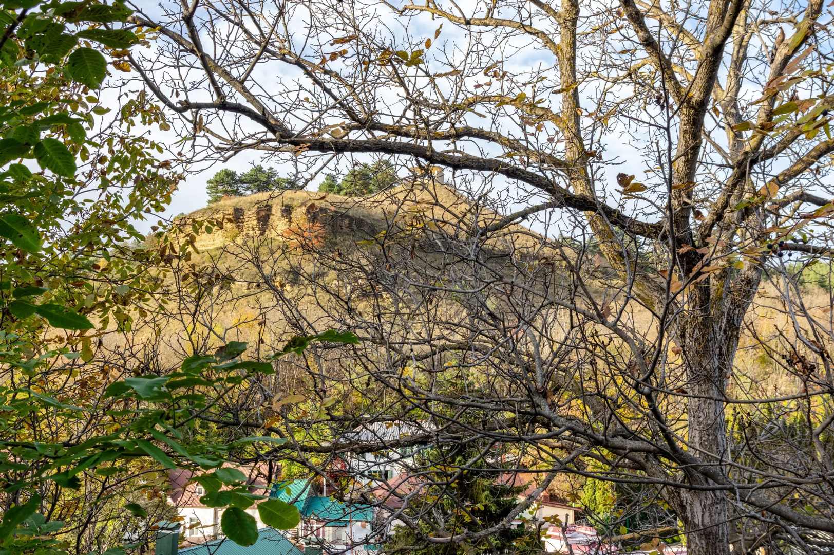 Апартаменты в парке у Стеклянной струи с видом на горы