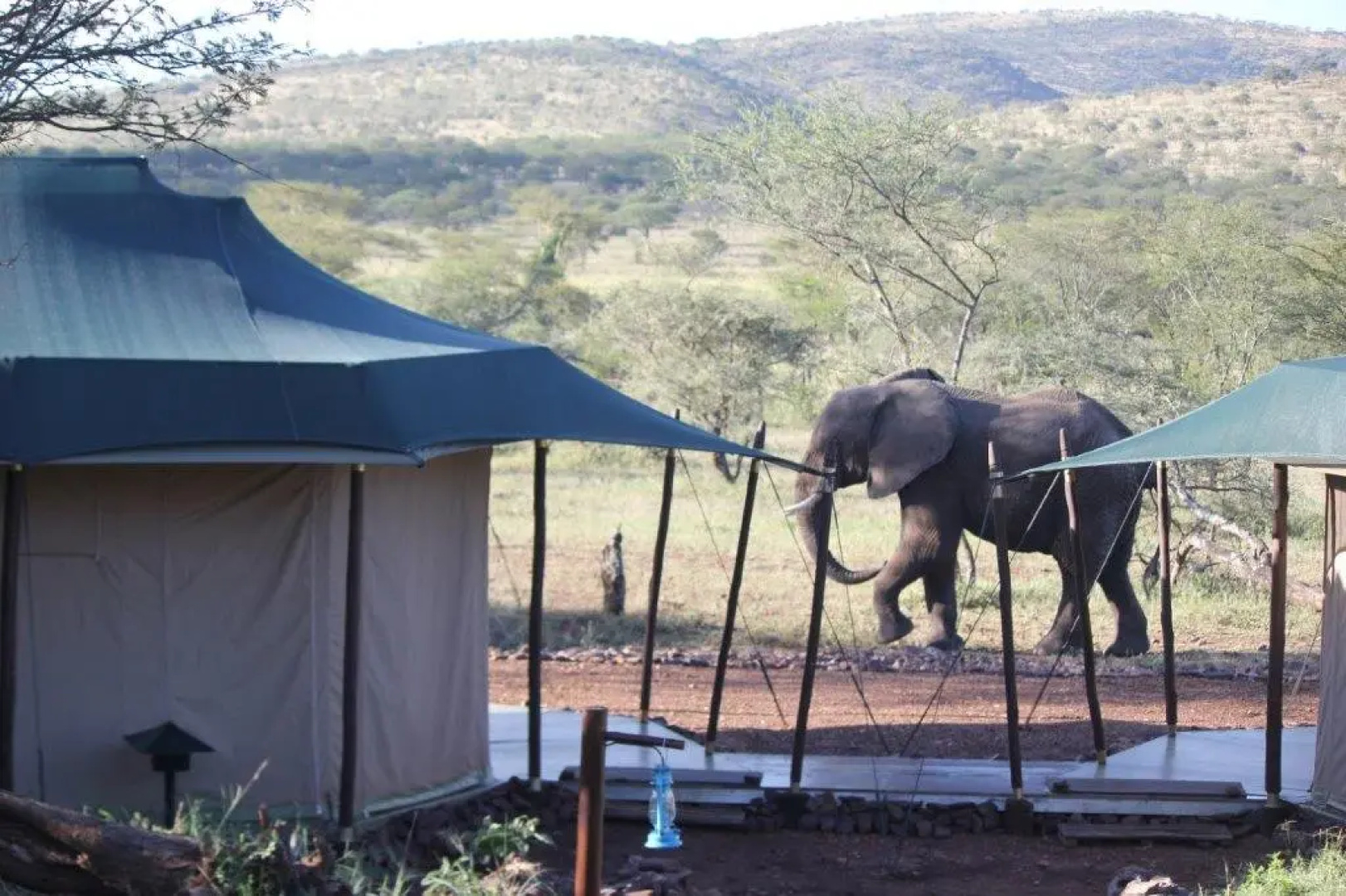 Отель Ole Serai Luxury Camp