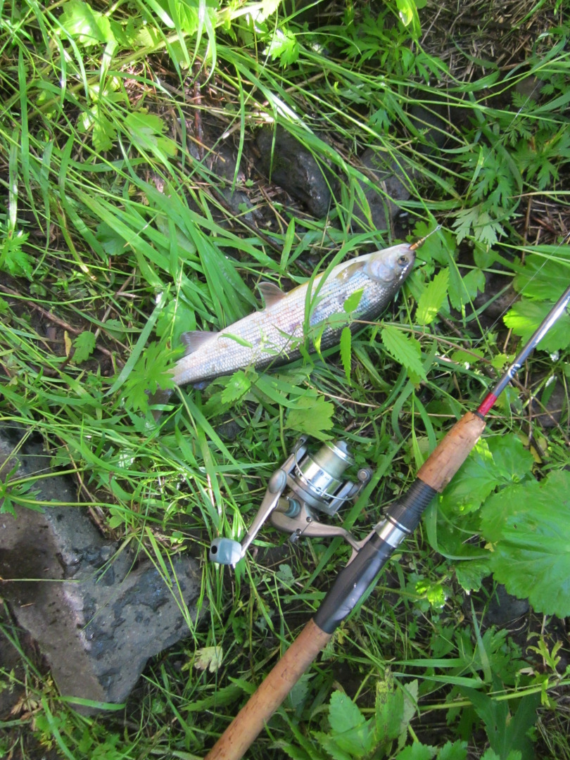 База Отдыха Uruumiin Gol Ecotour Camp