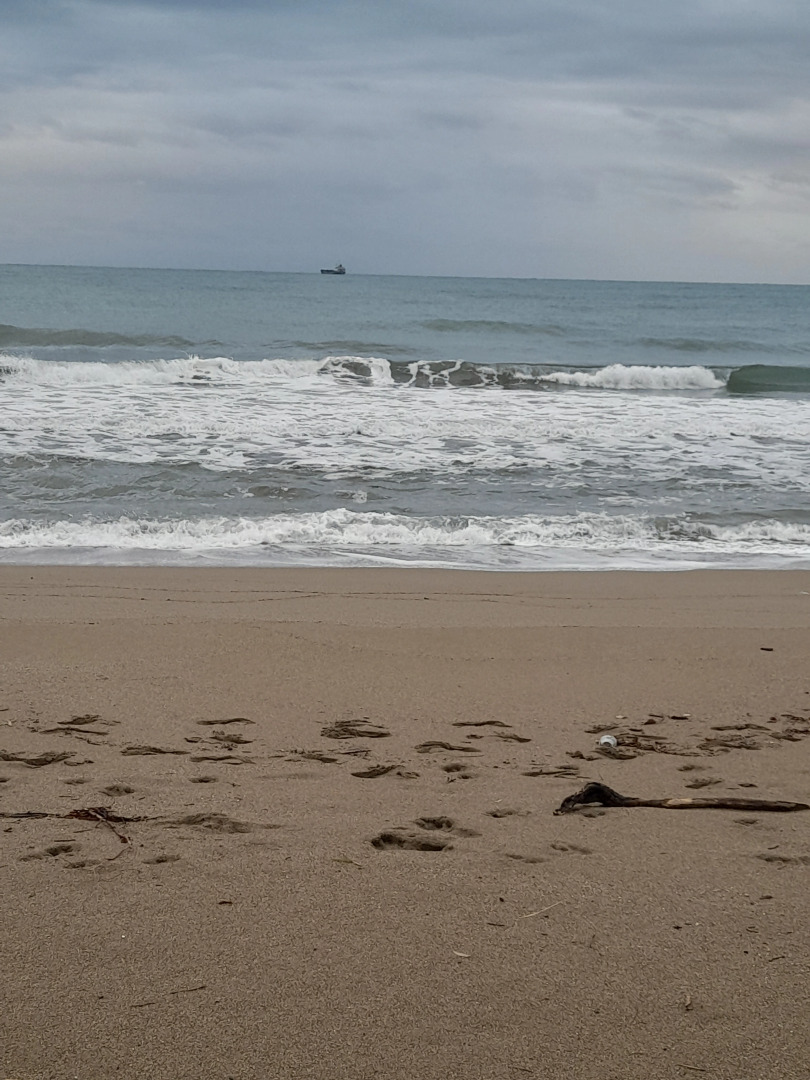 Отель Luna Piena