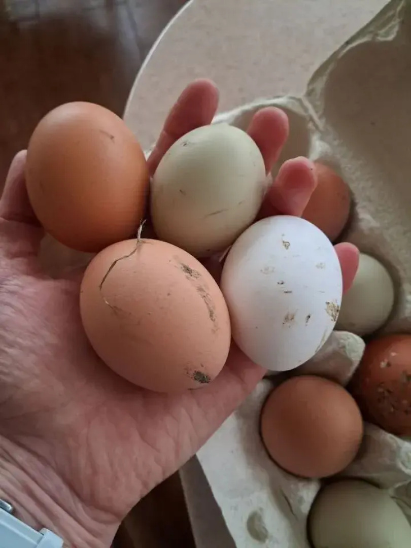 Частный Дом на Учаcткe 61 Соткa