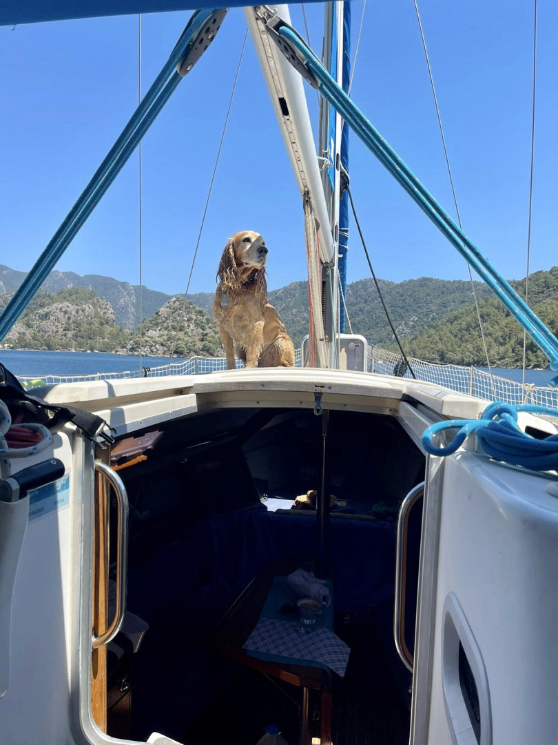 Бунгало Marimare Beach & Bungalow