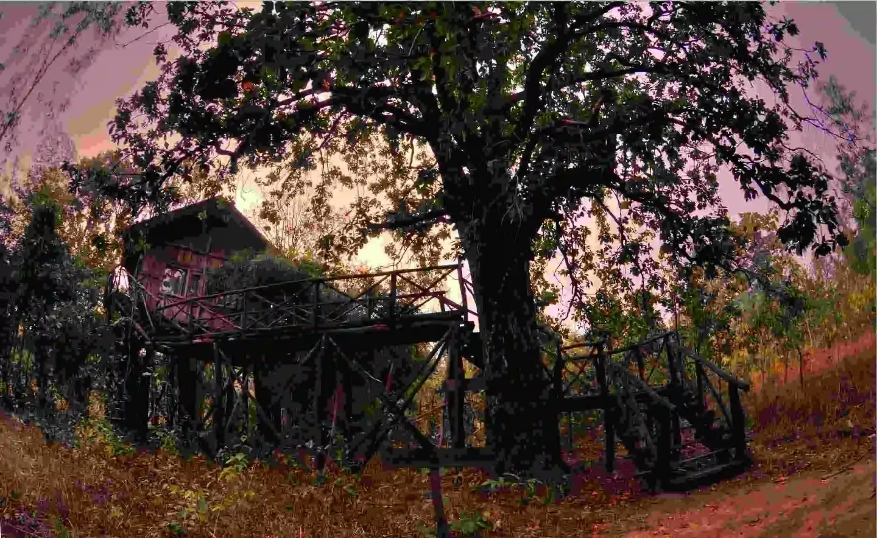 Жилое Помещение Pugdundee Safaris - Tree House Hideway