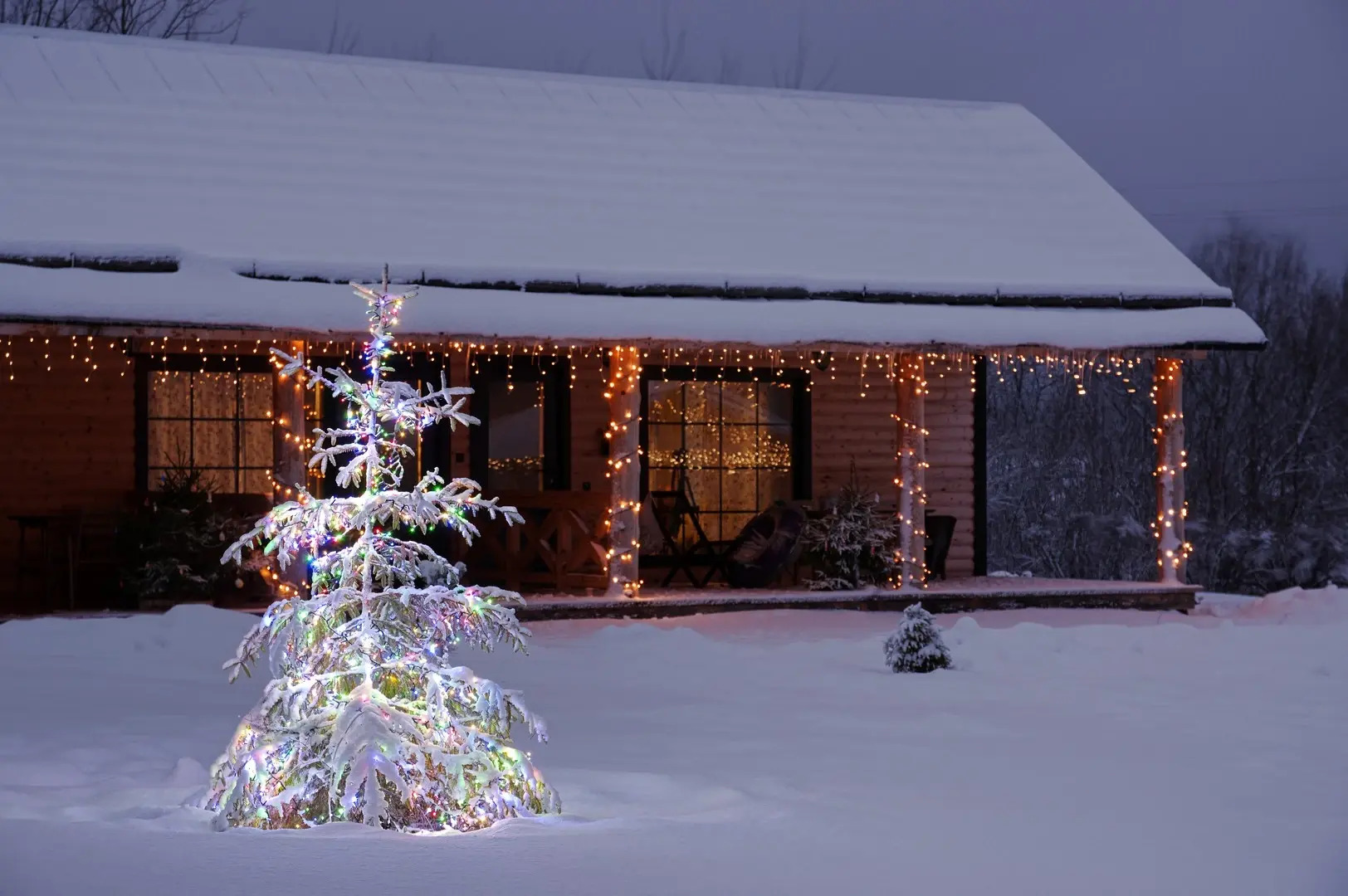 Апартаменты У лукоморья