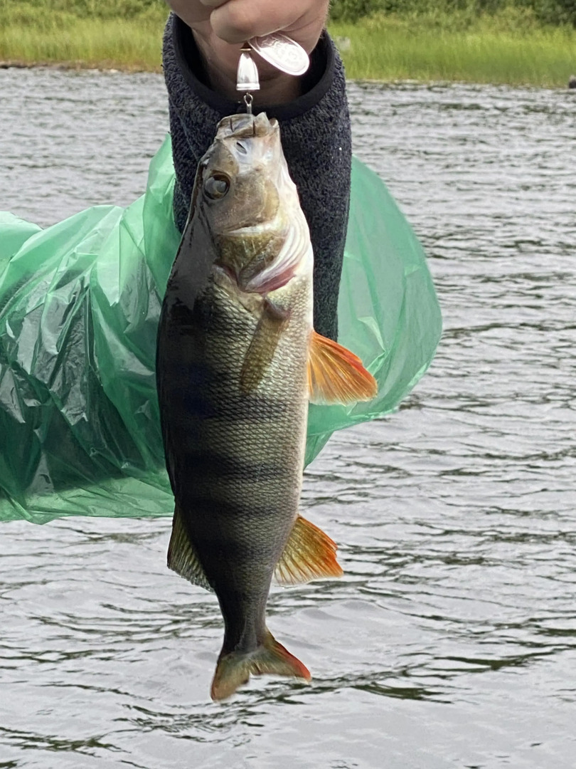 База Отдыха На Рыбалку