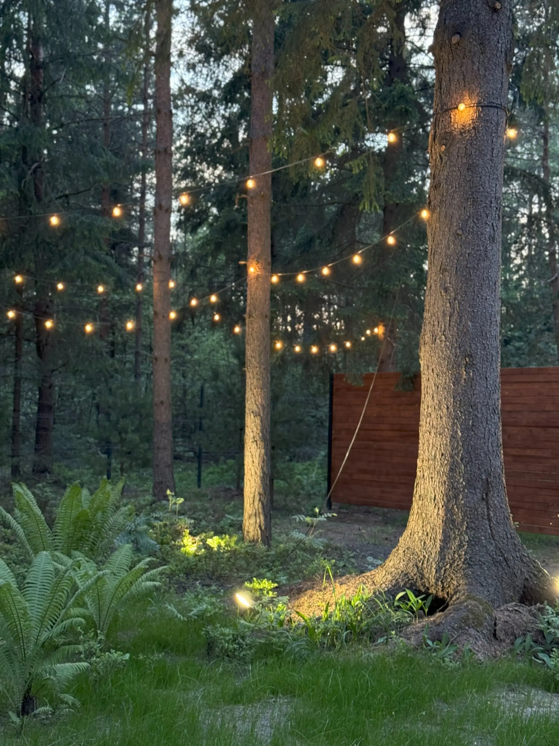 Глэмпинг Elovoye