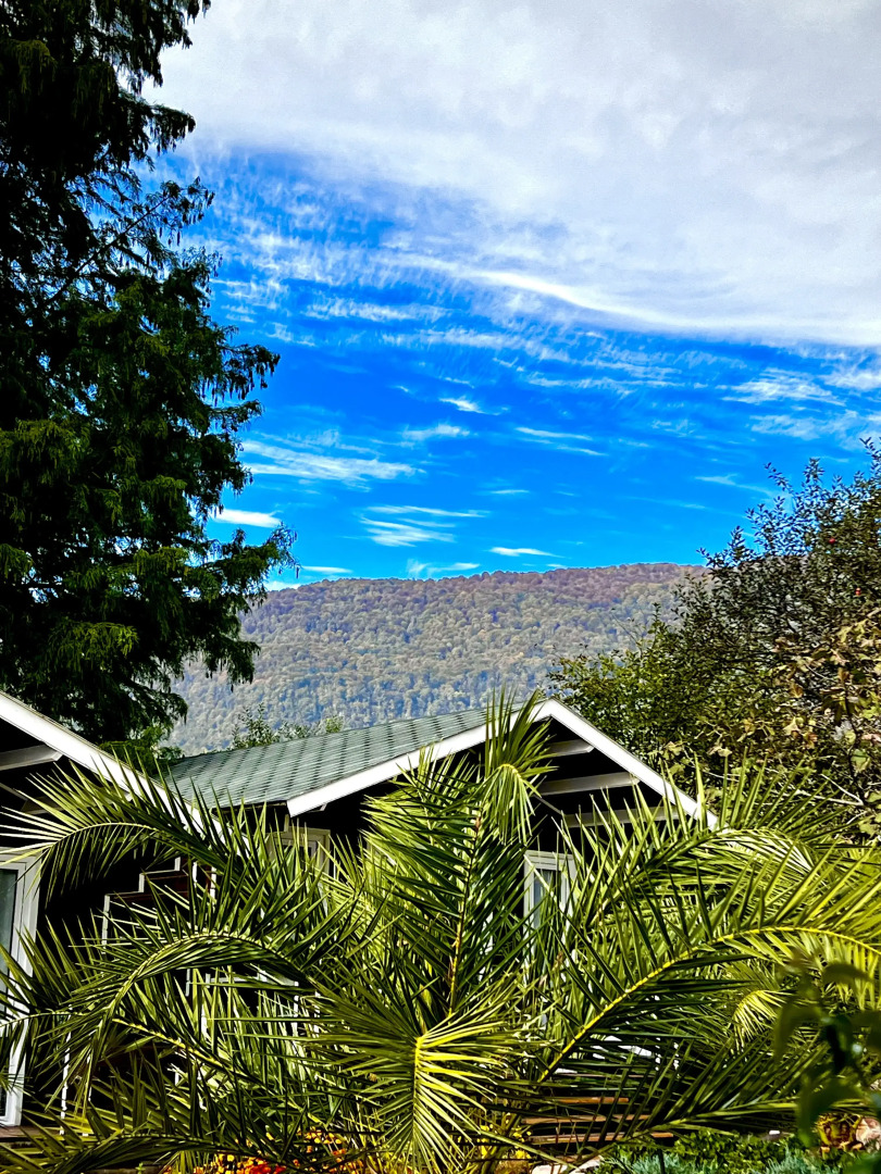 База отдыха Флора