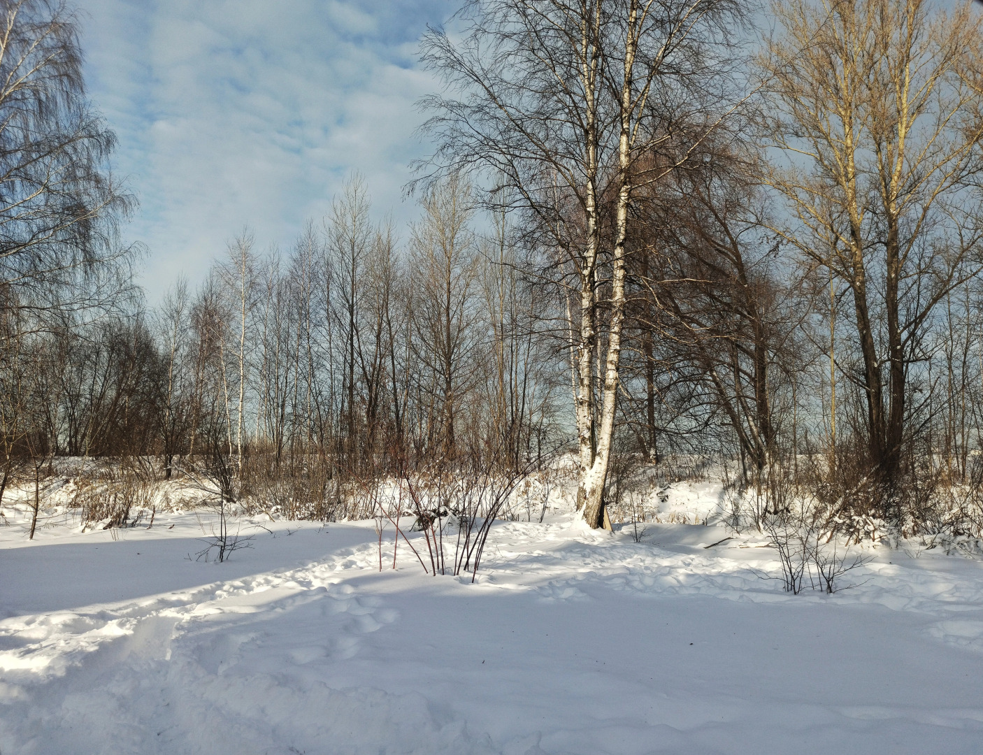 Частный дом Welcome House