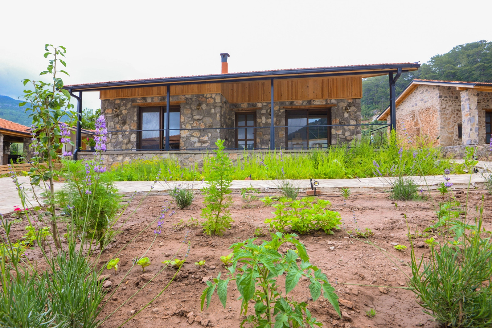 Dedehan Retreat Butik-hotel