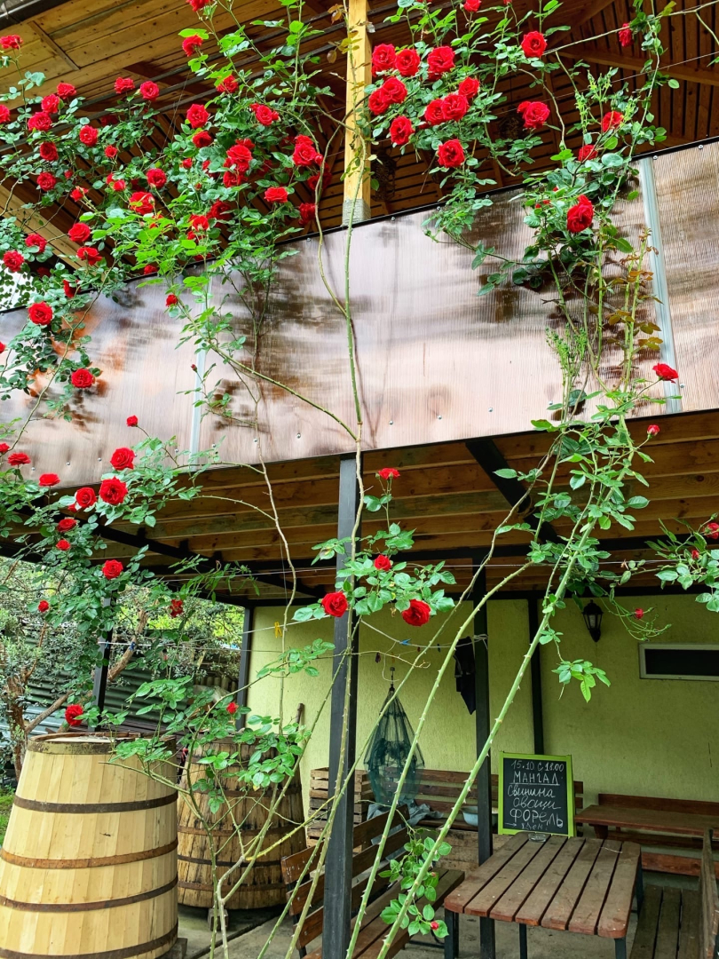 Гостевой дом Дивный Сад