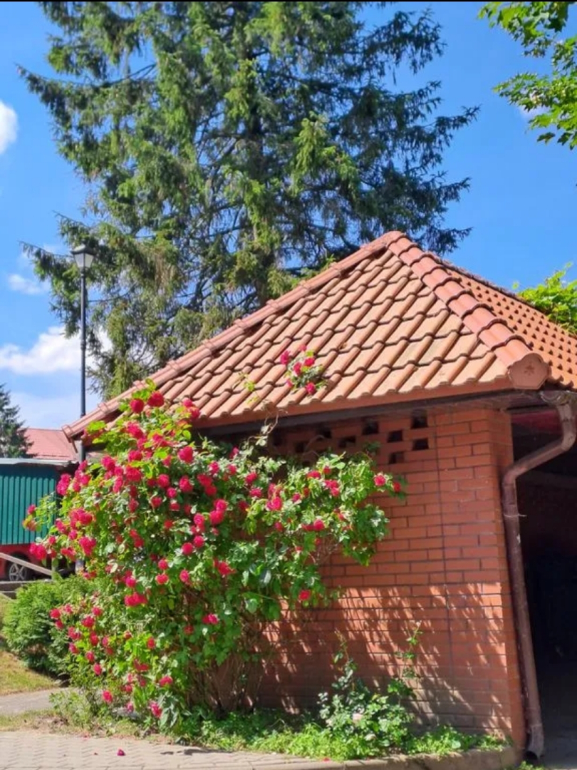 Апартаменты Балтия