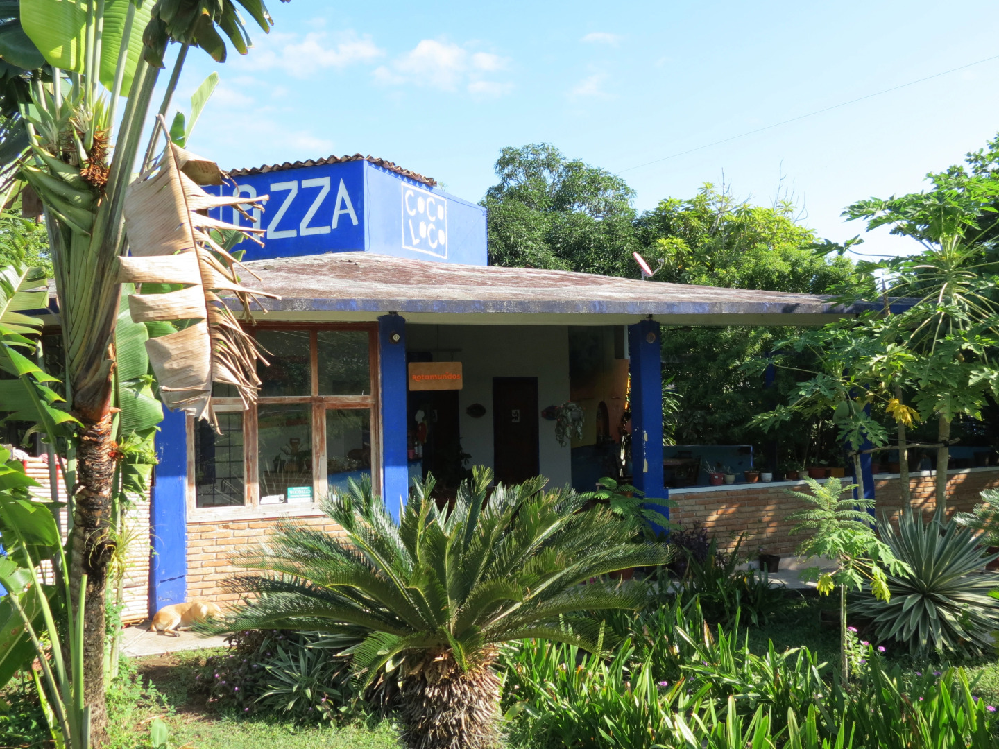 Отель Eco Coco Loco by Rotamundos