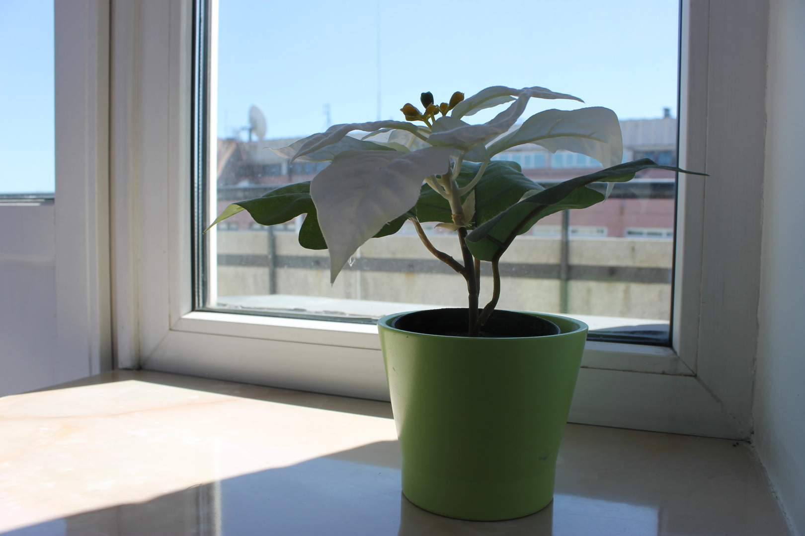 Мини-Отель В центре