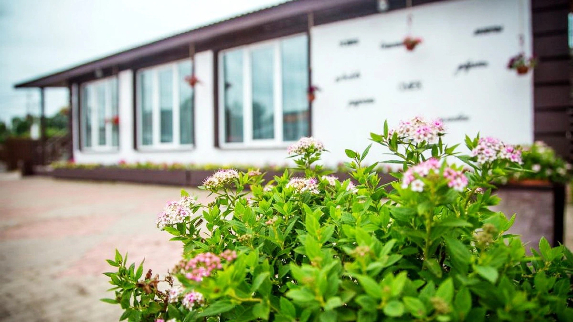 Меблированные комнаты Сойкино