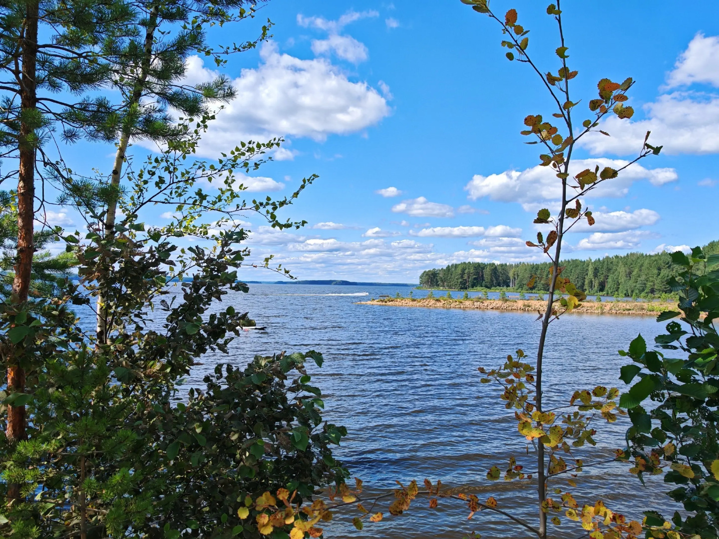 Апартаменты Отдых на Селигере турбаза Чайка