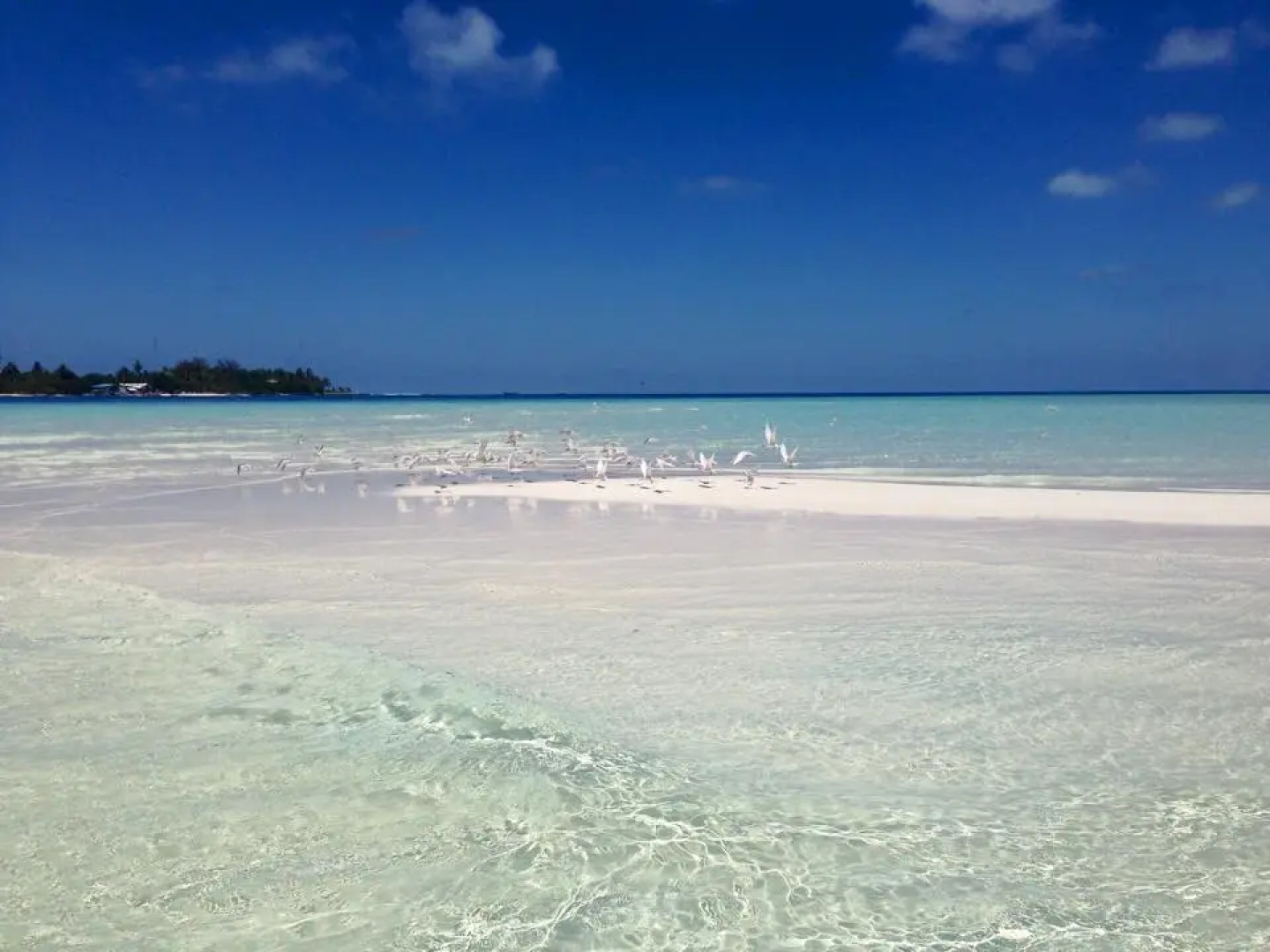 Гостевой Дом Holiday Grand Maldives