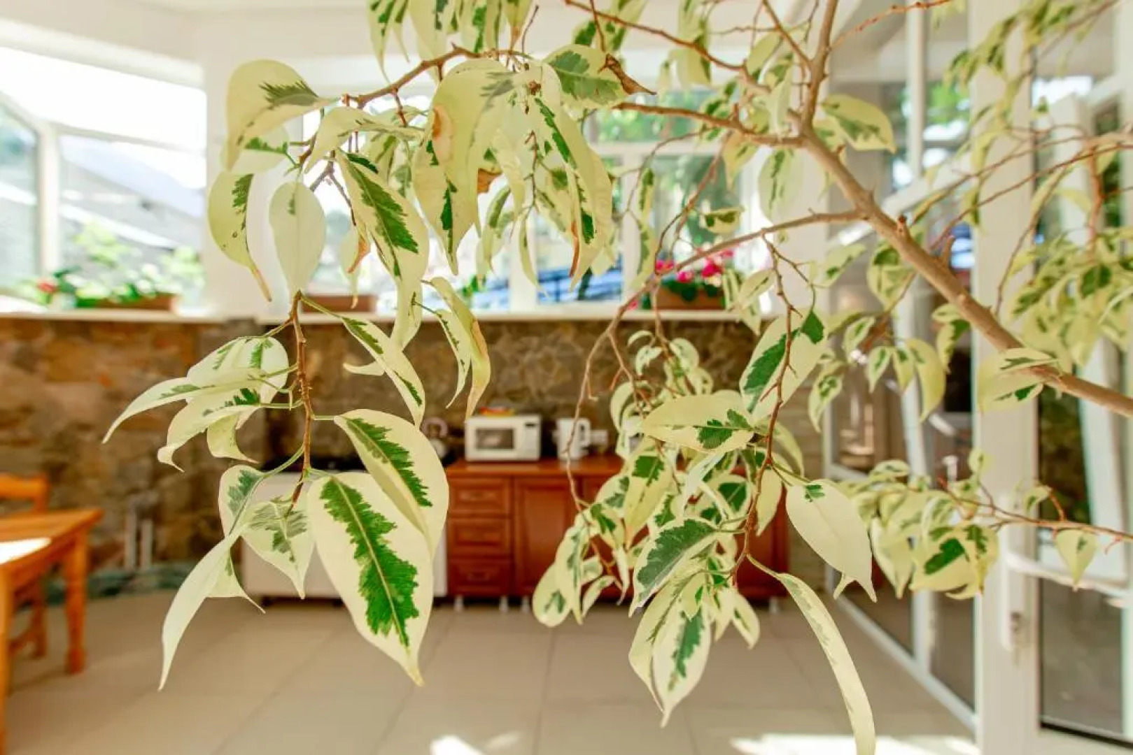 Гостевой Дом Колибри Beach