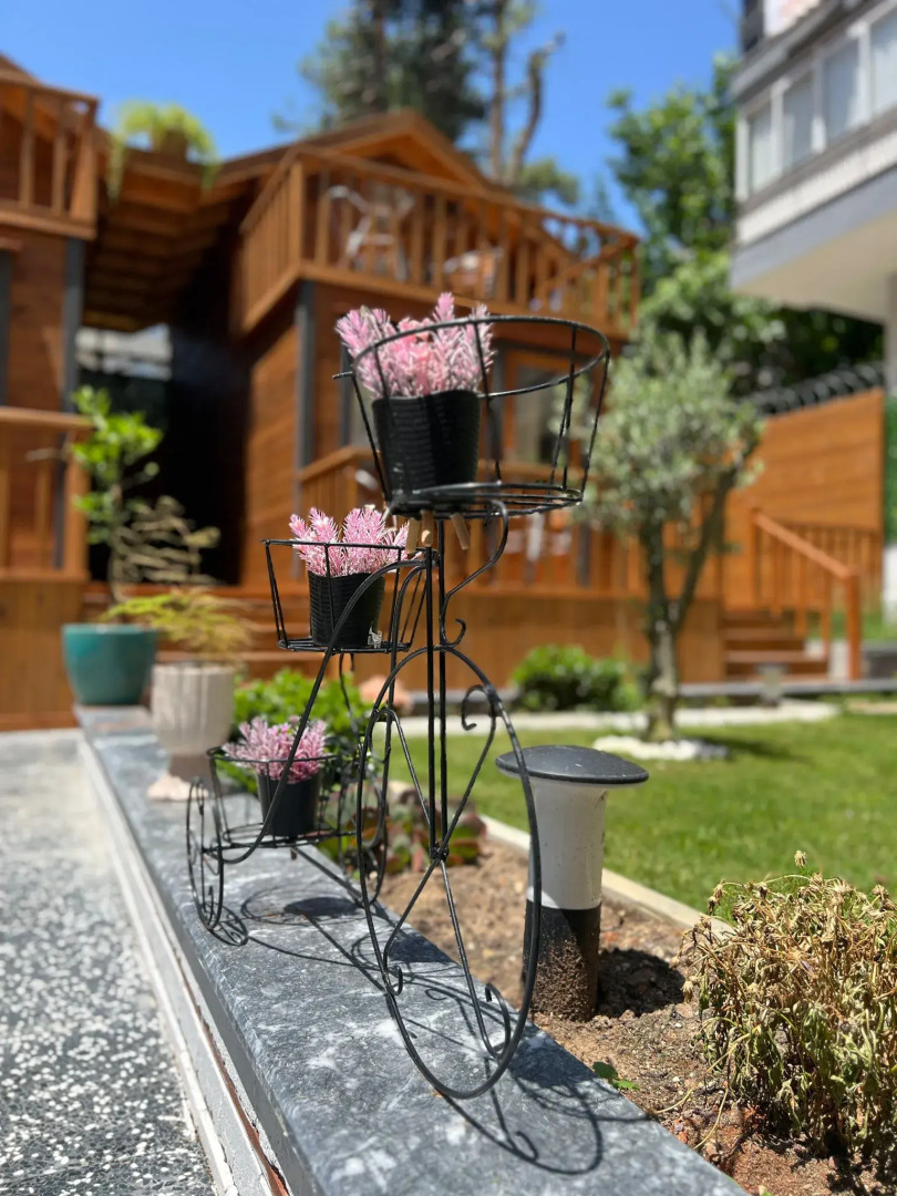 Отель My Home Hotel Antalya City Center