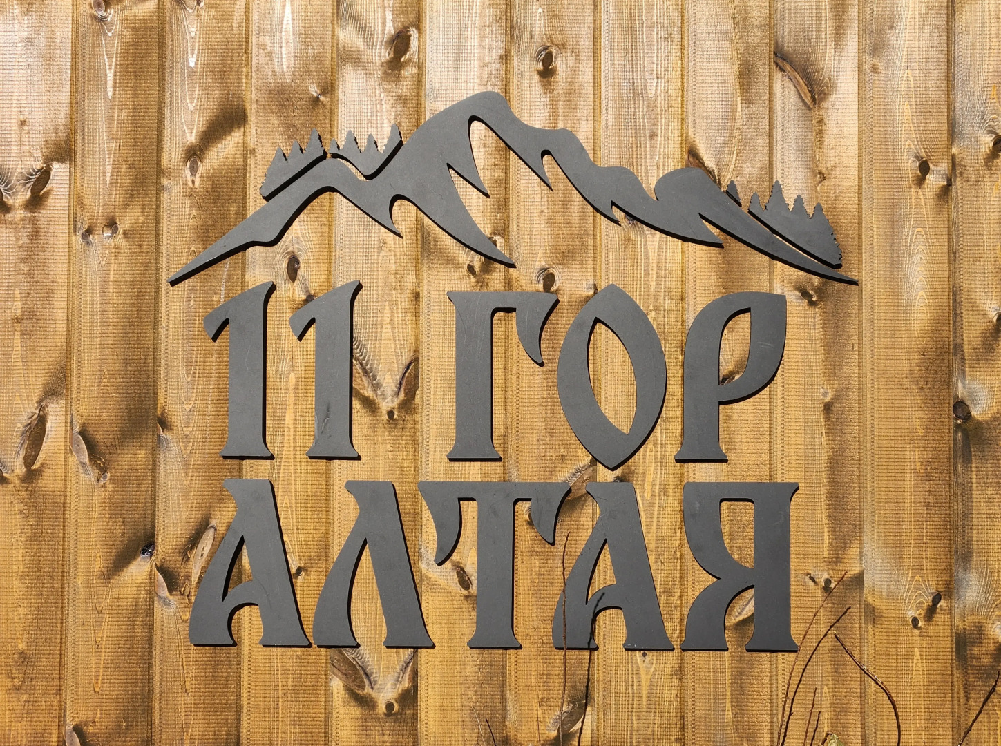 Гостевой дом 11 Гор Алтая