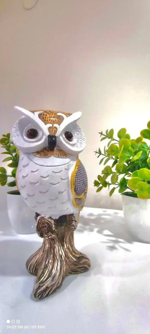 Студия категории Люкс в центре города