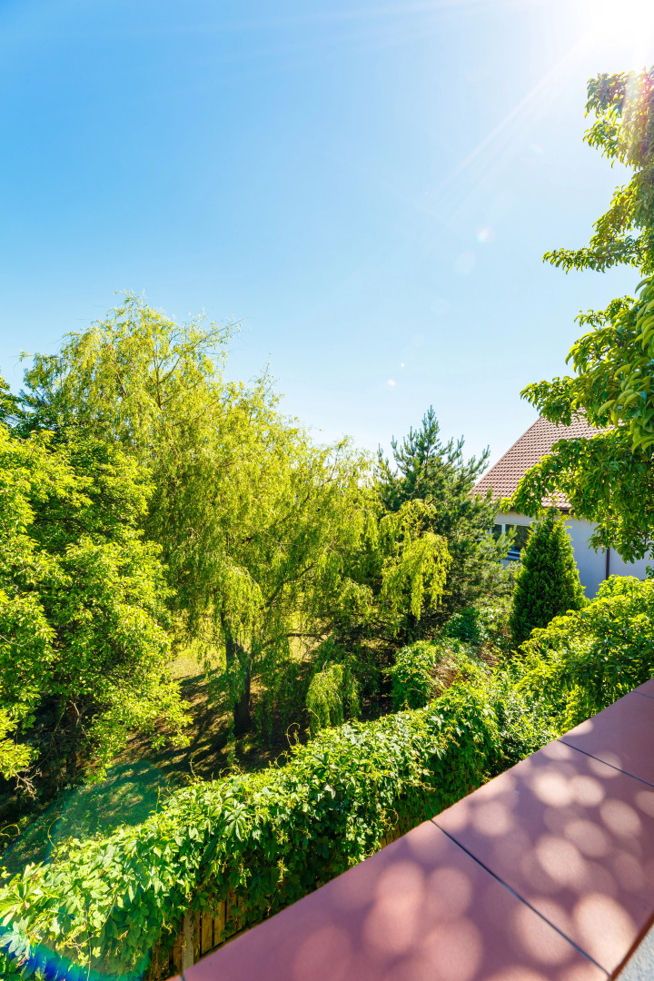 Гостевой дом На Каштановой