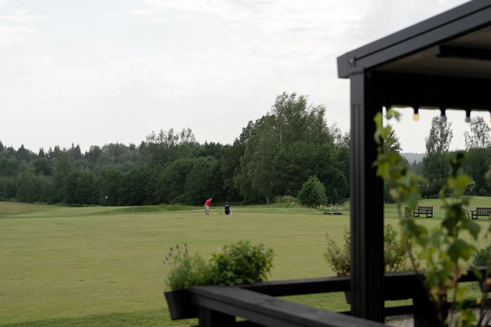 Отель Forest Hills Golf Resort by Moss