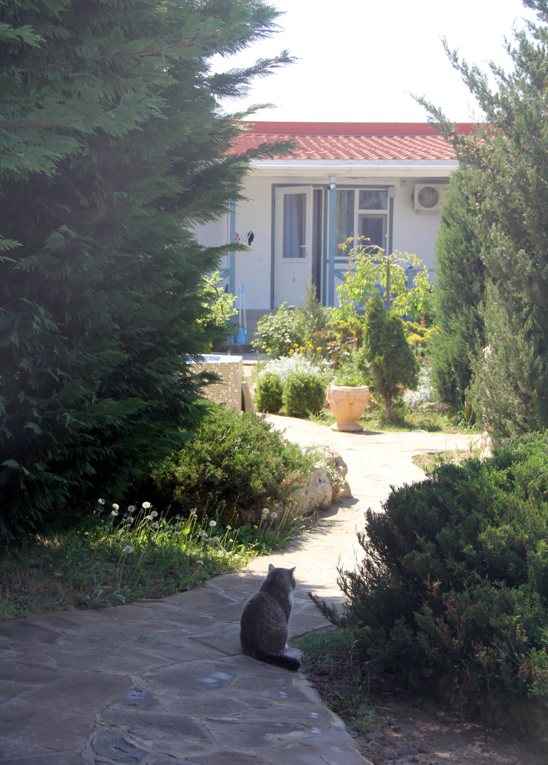 Zhemchuzhina Stepi Guest House