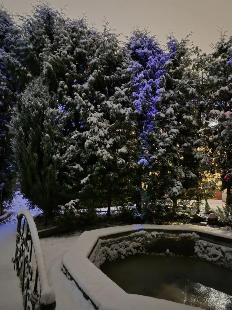 Частный Дом под Липой