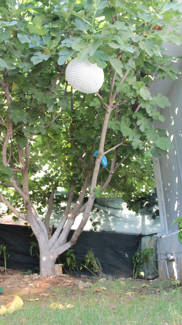 Частный Дом Aloanda House