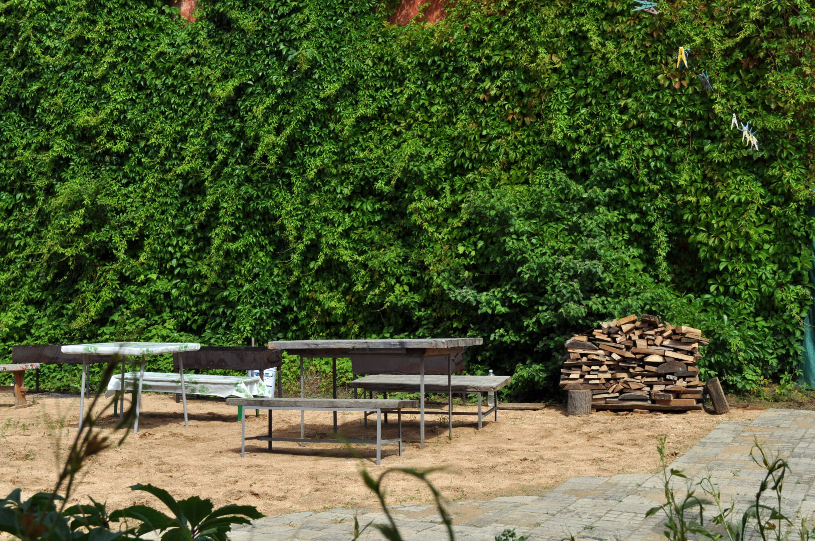 Отель Чайка