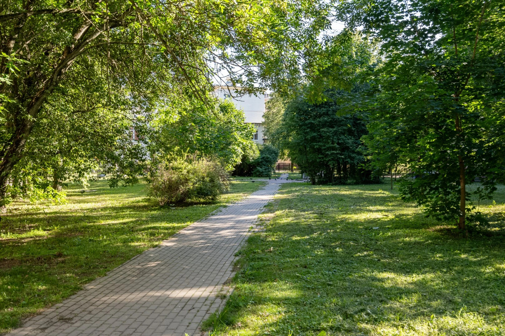 Квартира Red Lines