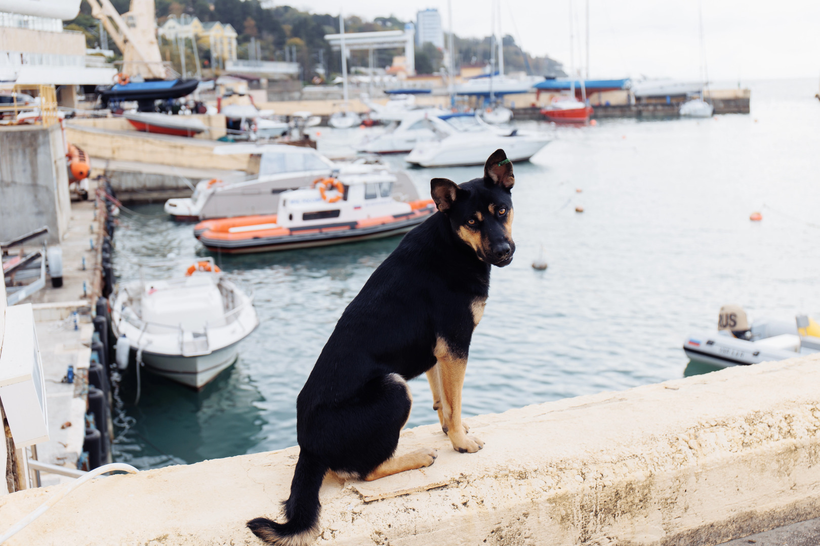 Апарт-отель Porto Apart Hotel