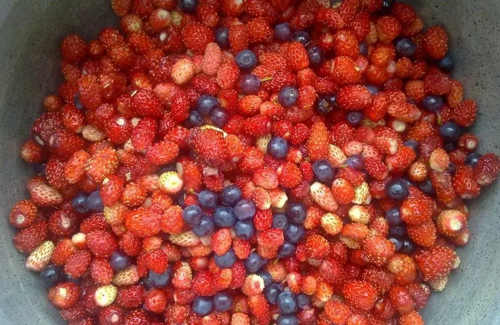 База Отдыха Надеждино