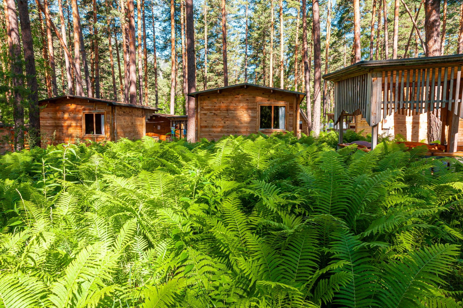 База отдыха Рафт-Премьер
