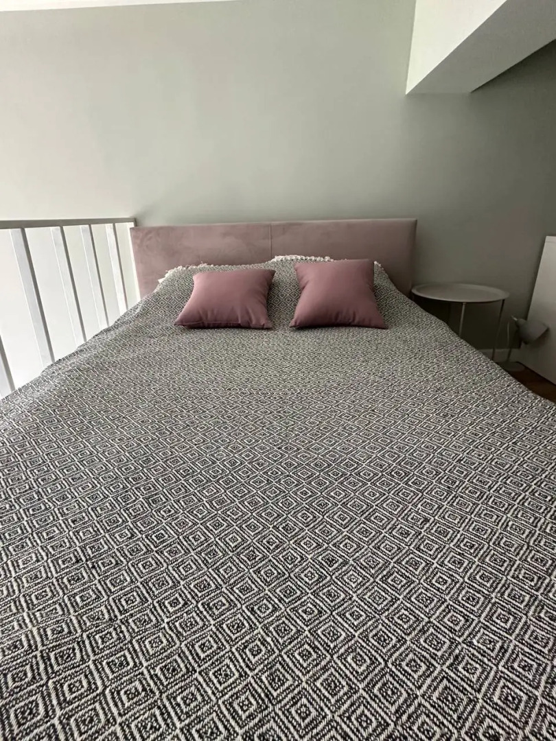 Двухуровневые апартаменты Pink Powder у метро Бауманская