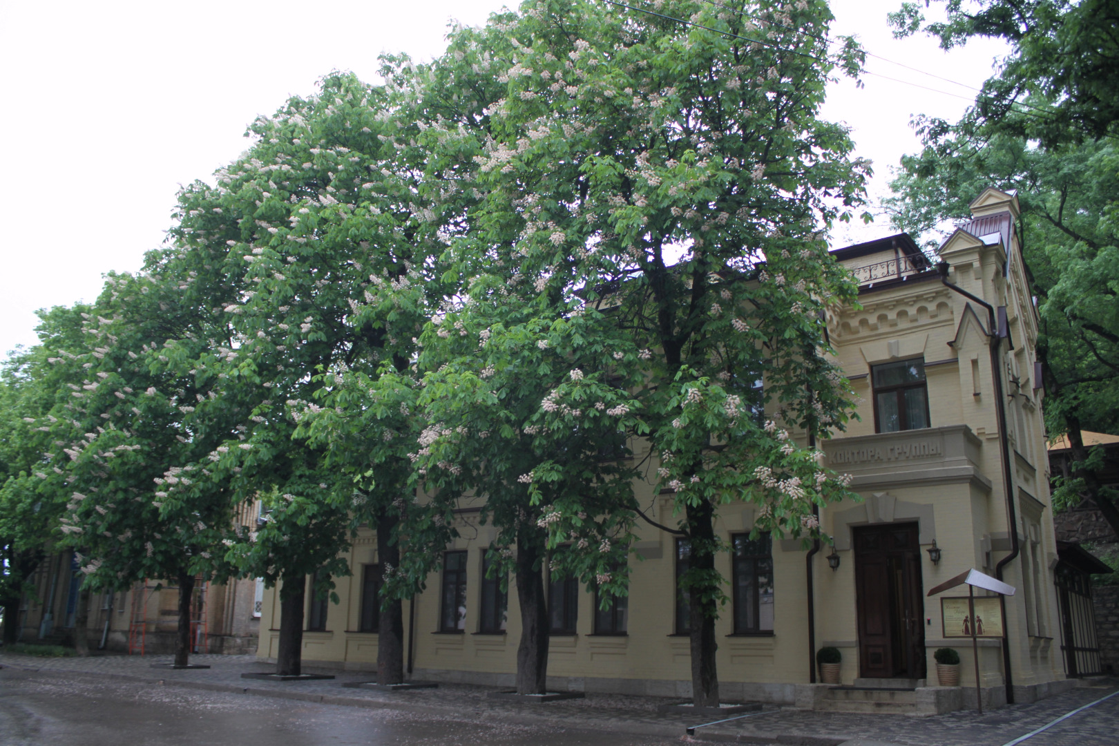 Мини-Отель Медицинский центр Княжна Мери