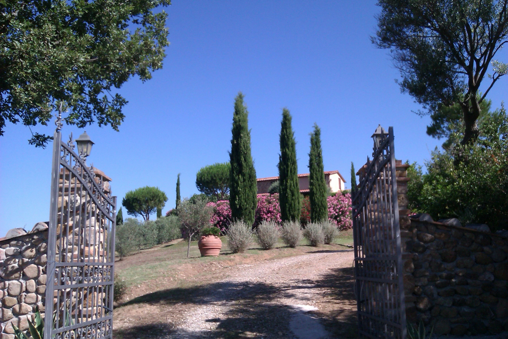 Agriturismo Podere San Lorenzo 1866