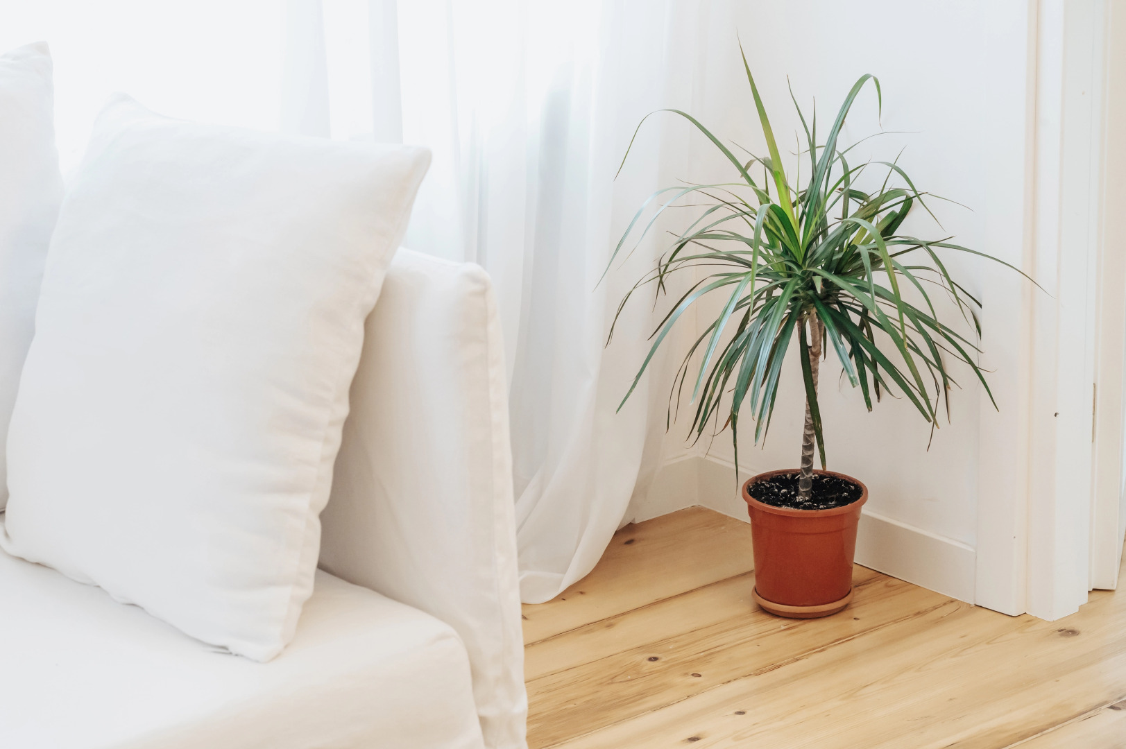 Апартаменты HB apartments Tabukashvili