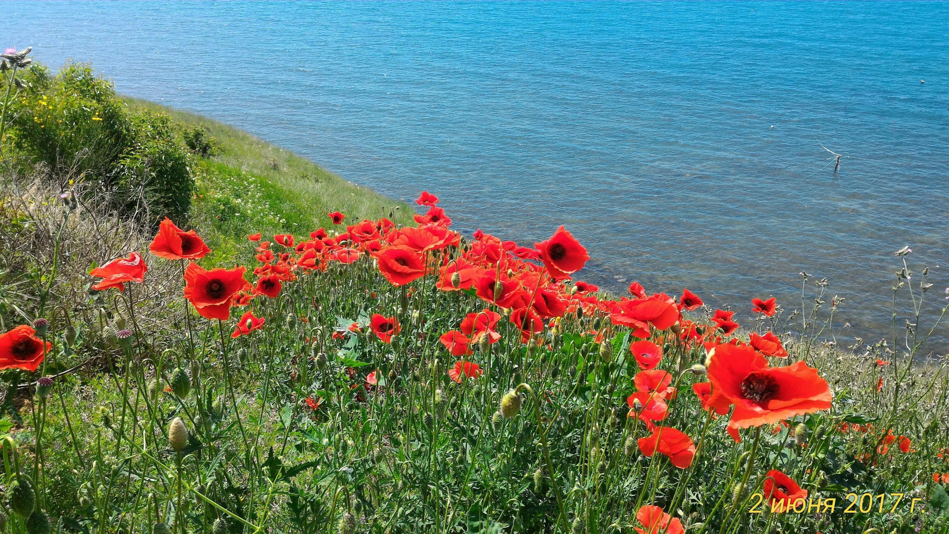 Гостевой Дом Рейд