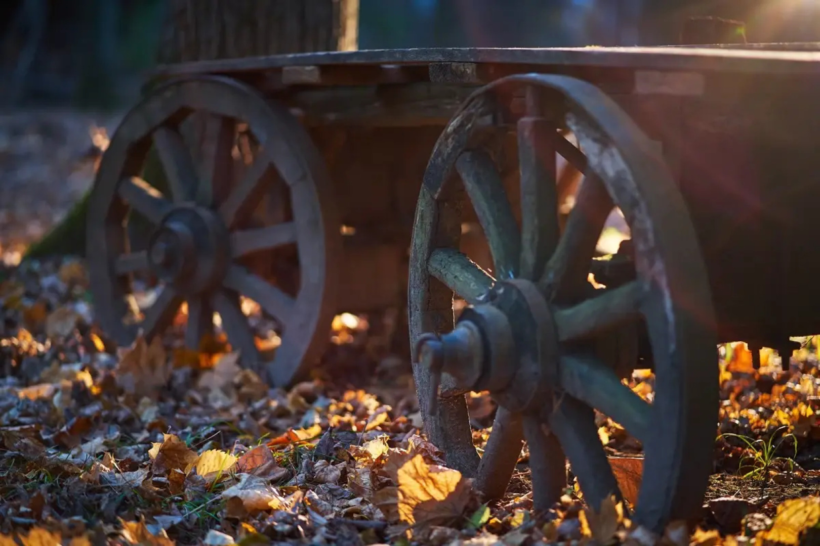 Отель Таёжные Бани