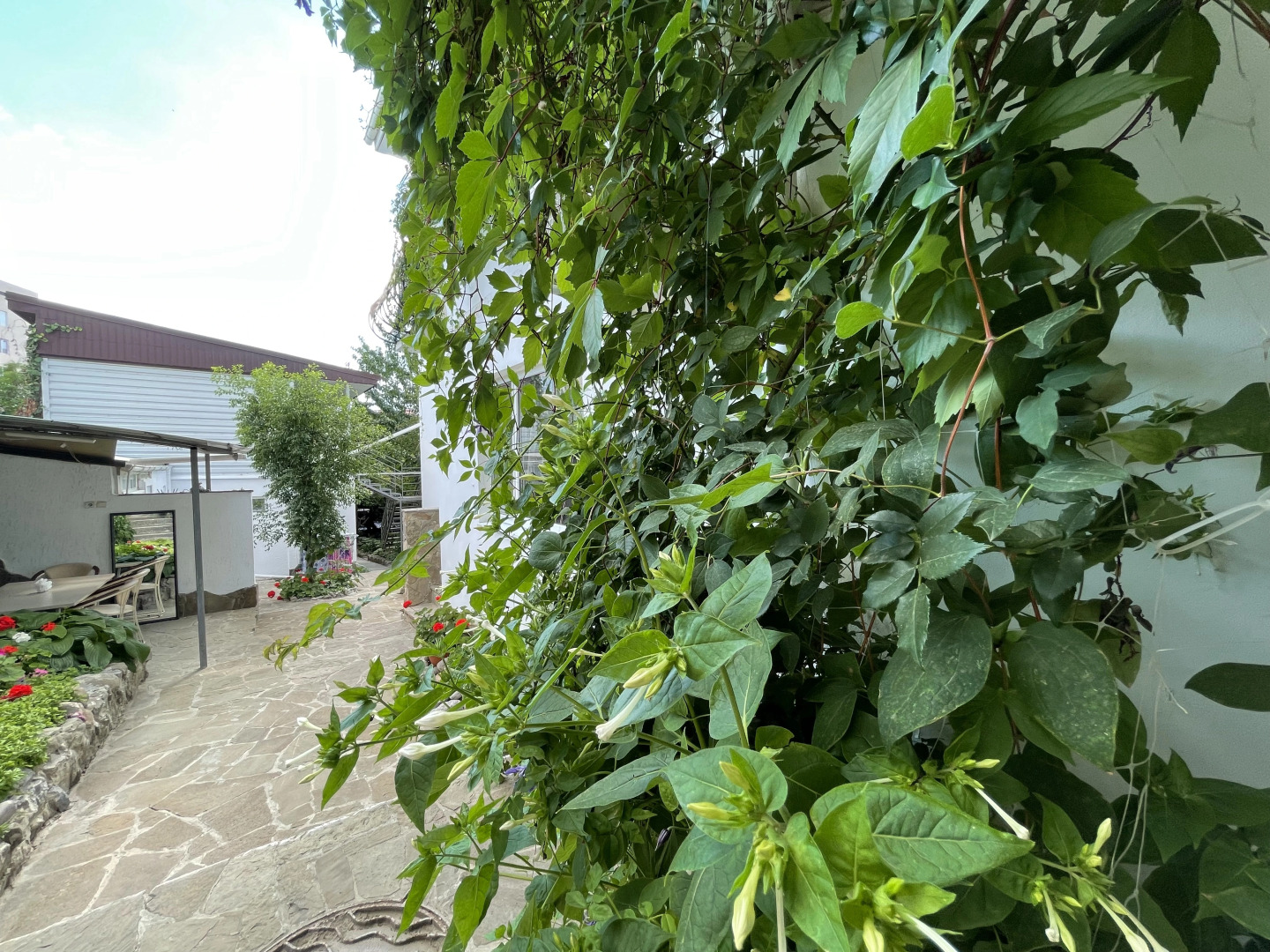 Меблированные комнаты Николь