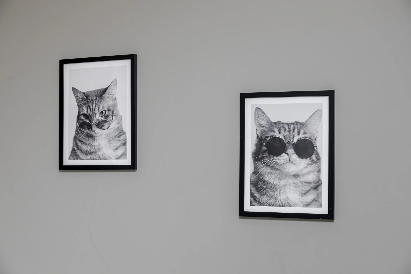 Апартаменты на Луговой 24/3