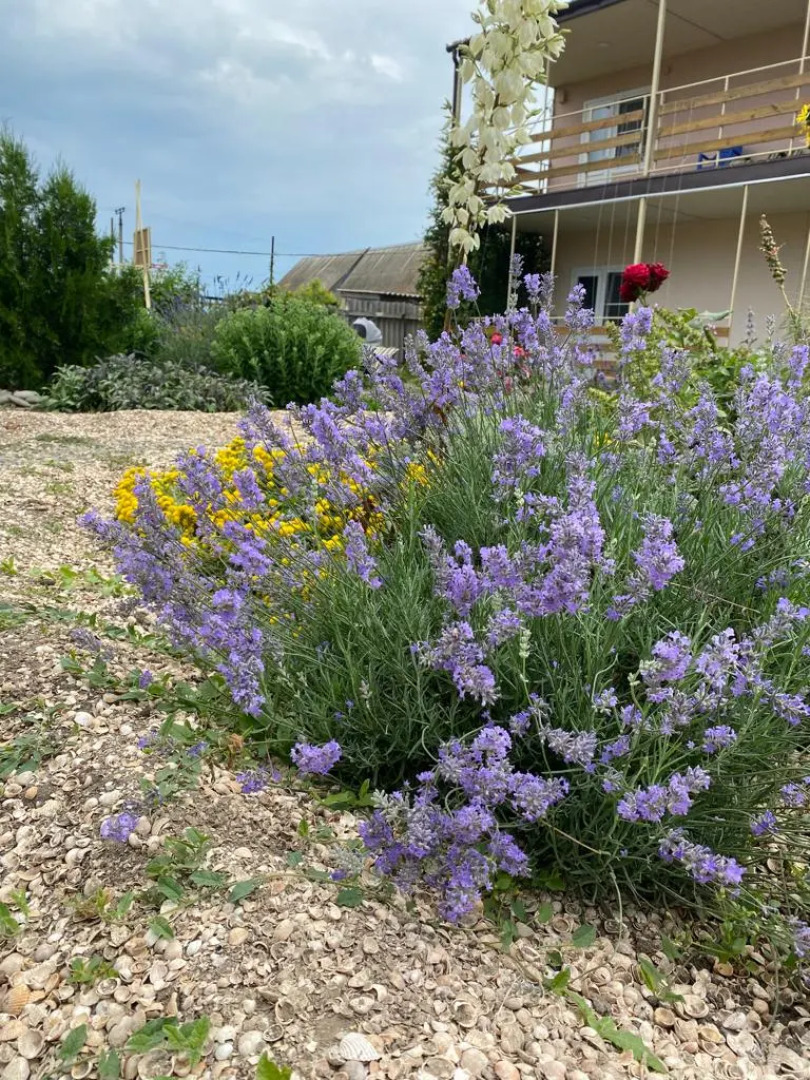Гостевой дом Уфимочка