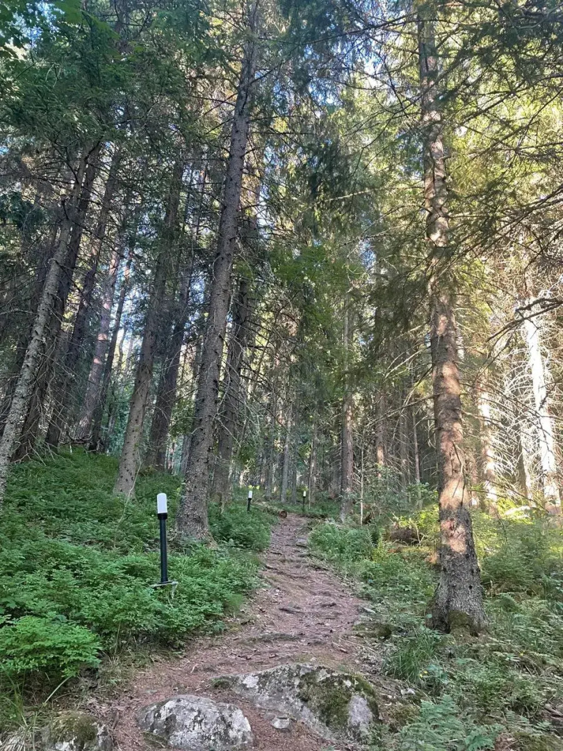 Частный Дом Летняя Комната на Даче Долос