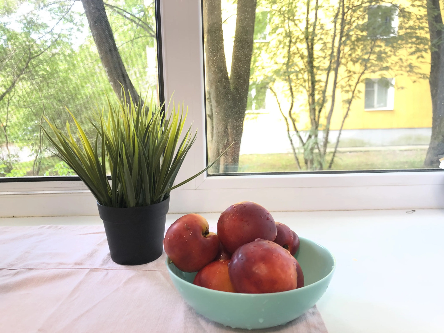 Квартира Студия Белые Пески в Сосновом Бору