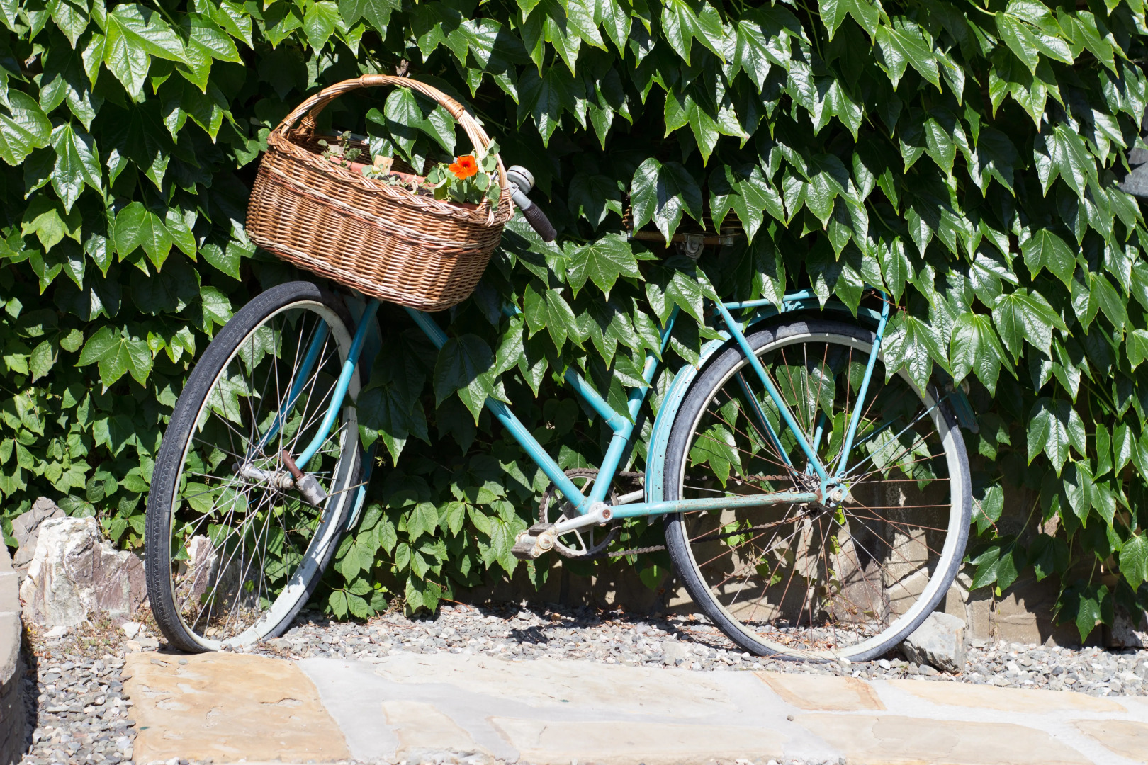 Отель Рай-Ski Домик