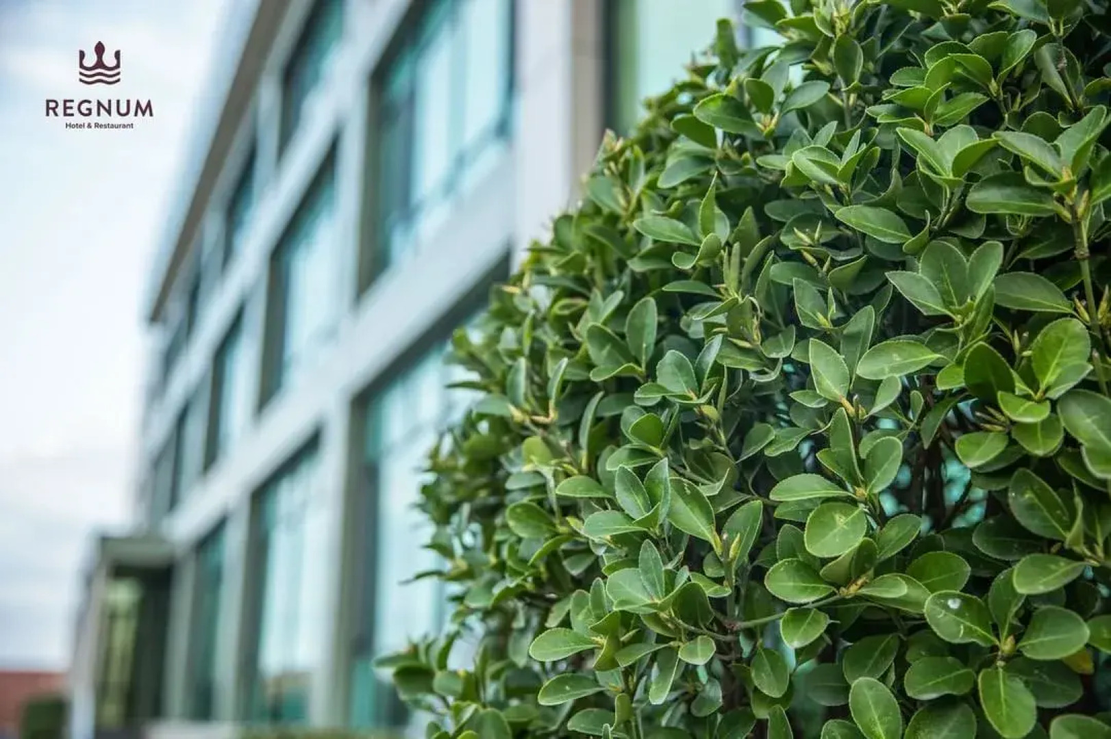 Отель Regnum Restaurant