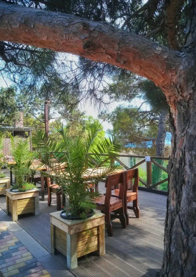 Отель Можжевеловый Парк